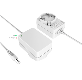12W Interchangeable Battery Charger